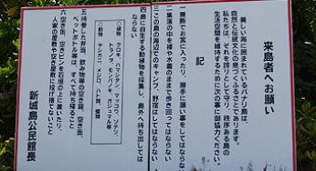 追記あり【ドン引き】偽スピ教祖さまたちの信仰心のなさ
